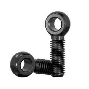 Stainless Steel Eye Bolt6