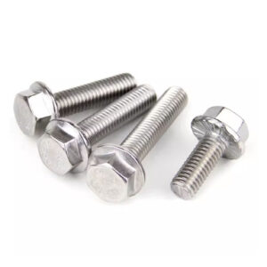 Hexagon Flange Bolts2