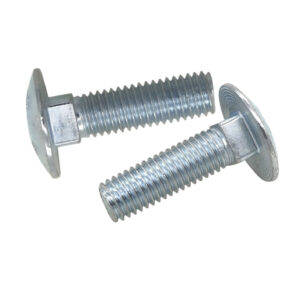 Carriage Bolts4