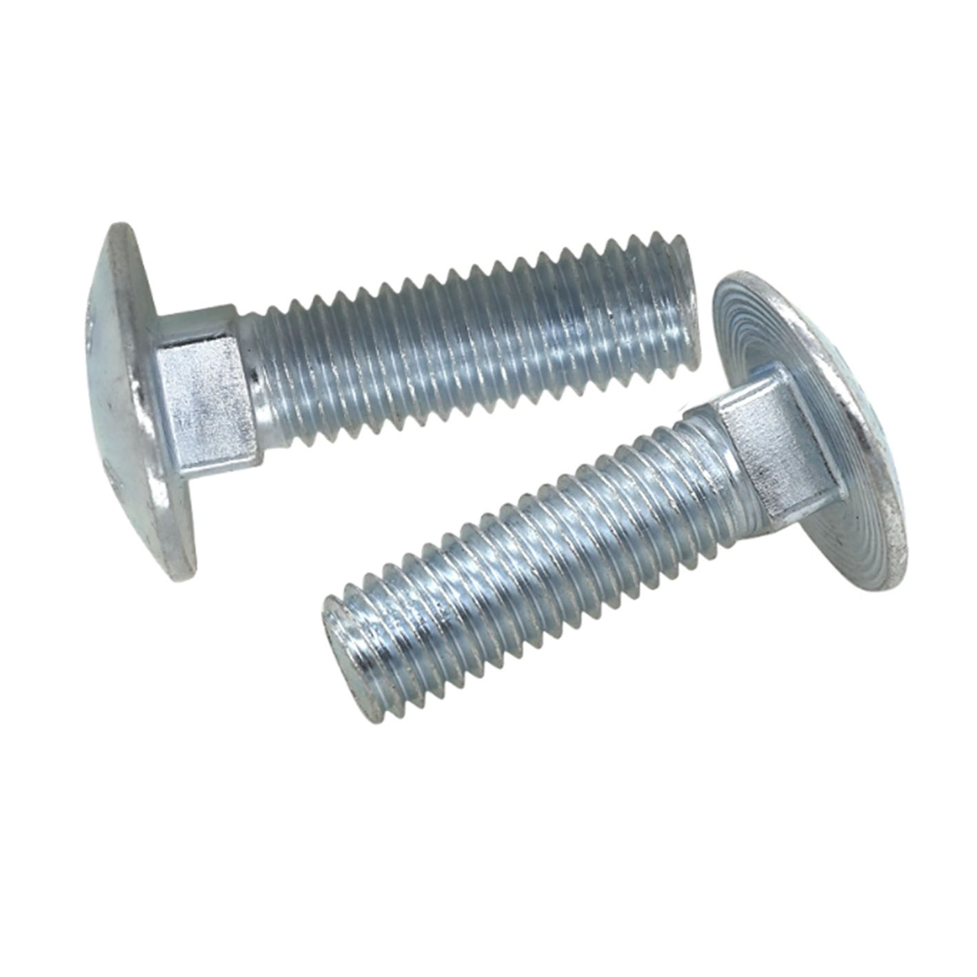 Carriage Bolts4