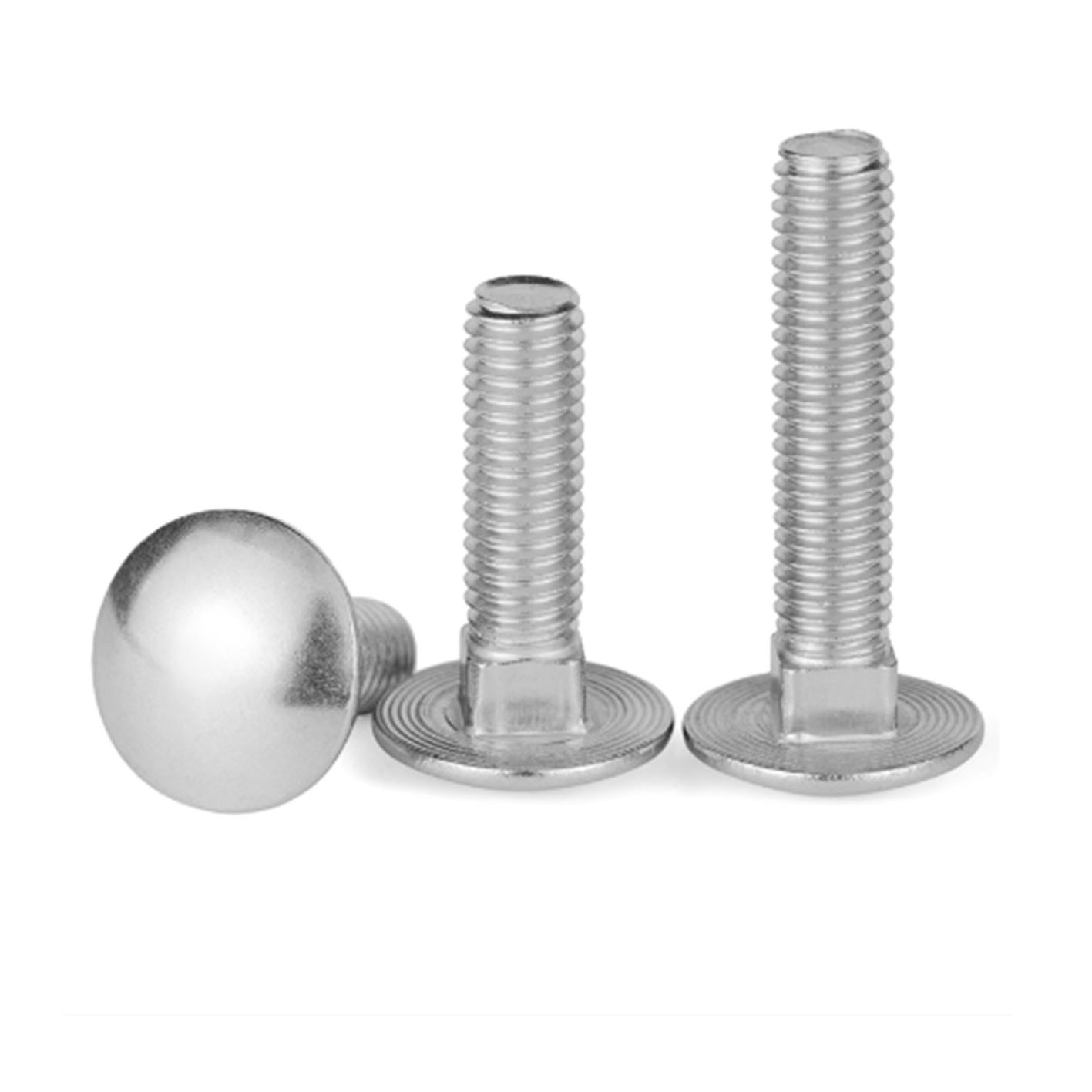 Carriage Bolts4 - 图片 2