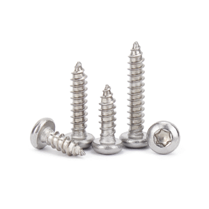 Torx Pan Head Self-Tapping Screw